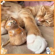 Cat hair storage bottle: 6 cat styles to meet different needs Cat size: approximately 45 cm/18 inche