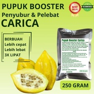 Pupuk Booster Carica / Obat Booster Buah Carica / Pupuk Booster Buah Carica / Pupuk Buah Carica