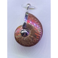 Premium Grade Ammonite crystal pendant (班彩螺) - 32.6mm