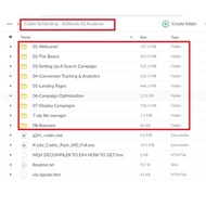 Caitlin Schlichting - AdWords IQ Academy (Total size: 4.47 GB Contains: 8 folders 54 files)