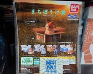 三上屋 ✨清貨優惠✨ 行版 MACHIBOKE 等待動物系列 待收養的貓 紙箱貓 扭蛋 1套5款