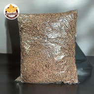 Cengkeh Rajang Manado Kemasan 500 Gram
