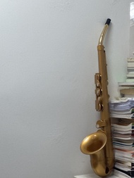 膠 saxophone 連吹嘴簧片套裝