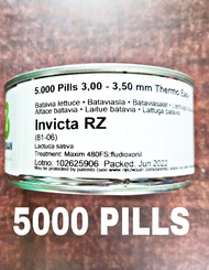 INVICTA RZ SEEDS BATAVIA LETTUCE SEEDS (5000 PILLS OR PELLETS) by RIJK ZWAAN