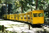 宜蘭旅遊│太平山蹦蹦車．消暑森林小火車．茂興懷舊步道．原始林步道一日│大人囝仔