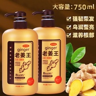 king soft nourishing shampoo hair ginger secondary containment ms improve short-tempered male loss is special