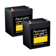 2 Pack 12V 6Ah LiFePO4 Lithium Battery, Built-in 6A BMS, Energy Storage, 1500-5000 Rechargeable Deep
