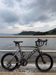 Tern單車
