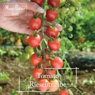 Heirloom Risen Cherry Tomato seeds - 30 seed *Pot Friendly* - Mango Garden
