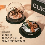 Wilderness Explorer Scented Gift Set - Natural Aroma Stone Diffuser with Essential Oils, Adventure-T