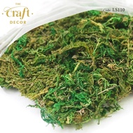 The Craft Decor 50g+- Dry Green Moss | Simulated Artificial Filamentous Premium Moss | Lumut Orkid |