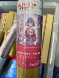 加藤惠 大掛軸 海報