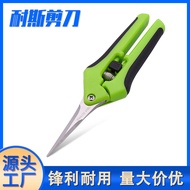 Stainless Steel Flower Branch Shears Garden Shears Straight Pruning Shears Garden Fruit Tree Shears 