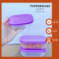 Mini Freezermate baby food freezer box 140ml - Tupperware