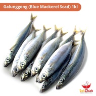 Galunggong (Blue Mackerel Scad) 1kl