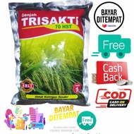 Benih Padi Trisakti bibit padi trisakti padi genjah cepat panen 70 sampai 75 hari setelah tanam suda