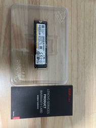Lenovo 聯想 SSD固態硬盤 1T Samsung 三星