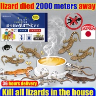 Kills 10000 lizards in 1night Lizard killer 1 Box/8 pieces lizard killer bait MOGO Gecko killer Cica