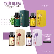 Pure hot essential oil 10ml for cupping, clearing meridians, hot wind massage oil - Nguyen Linh SPA 