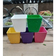 Combo of 10 square plastic pots sized 16x16cm