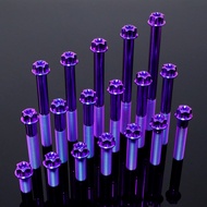 RTAMO Titanium Gr5 M10x20-120L 1.5P 16D CNC Flower Torx T45 Fit Brembo Caliper Stylema GP4RX M4