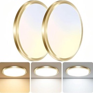 zemty 2Pack LED Ceiling Light Fixture 6.5 Inch, 12W 1200lm Ceiling Mount Light Fixtures, Adjustable 