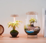 【全光譜 植物燈】不含植物 擬太陽光 圓檯植物燈一般款 | 蒔光