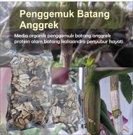 Media Tanam Anggrek Kaliandra Pupuk Batang Daun Agar Cepat Besar Beranak Rajin Berbunga Perangsang Penyubur TumbuhTunas Akar Anakan Subur Terbaik Bunga Tanaman Anggrek Bulan Dendrorium