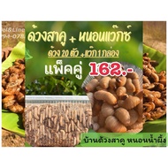 Beetle Snacks Pet Wax (Double Pack)