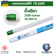 IWACHI หลอดแอลอีดีขั้วเขียว T8 22W  2500 ลูเมน 50000 ชั่วโมง ขายยกลัง 30 ดวง