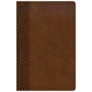 CSB Everyday Study Bible, British Tan LeatherTouch by CSB Bibles by Holman CSB Bibles by Holman (US 