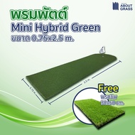 พรมพัตต์ กอล์ฟ Mini Hybrid ขนาด 0.75 x 2.5 เมตร แบรนด์ About Grass