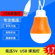 LED Bulb Light 5V Low Voltage USB Bulb Light Camping Low Voltage LED Bulb Power Bulb Night Light USB