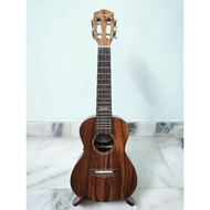 Akama ukulele concert