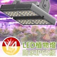 防水型LED植物燈【Y4光譜】台灣製㊣VITALUX【**最新款仿太陽光全光譜植物生長燈雨林觀葉園藝照明燈量子板補光燈】