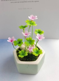 冷瓷土/黏土花藝-幸運草小盆栽/送禮