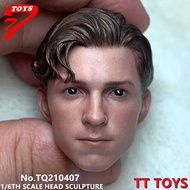 Holland 1/6 Tom Head Sculpt TTTOYS Tq210407 PVC Male Head Carving Fit 12'' Action Figure 1