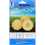 Cantaloupe Seeds Jade Dew 223