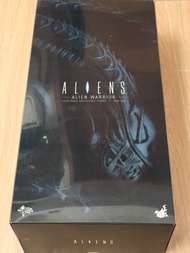 Hottoys alien warrior mms354 異型 predator