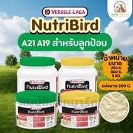 NutriBird A21/ A19 Bird Feeder 250 And 800 Bottles Gram