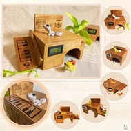 【林林木藝】XS 多功能 守宮窩 肥尾 豹紋 守宮 睫角 蜥蜴