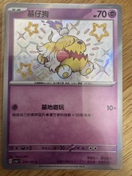 賣Ptcg中文版sv4a色違墓仔狗$5/1