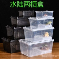 Horned Frog Breeding Amphibian Breeding Box Turtle Crab Breeding Box with Lid Turtle Tank with Baski