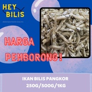 (BEST SELLING) HEY BILIS Ikan Bilis Mata Biru Belum Kopek (250g/500g/1kg) [Borong] / [Wholesale]