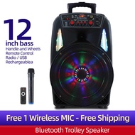 12 inch Portable Trolley Speaker Karaoke With 1 Wireless Microphone, Outdoor Bluetooth PA System Street Performances Square Dance Move Retractable Handle Wheels, USB Audio Input