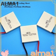 ALMA Semiconductor Cooling Sheet, 30x30mm 40x40mm Refrigeration Plate,  5 Styles 15x30mm TES1-07102 