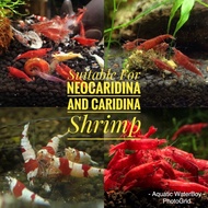 [Imported Shrimp Food] Neocaridina & Caridina Shrimp Food / Refill Pack (Shrimp Bento Set)