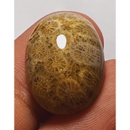 Natural 17.00ct Lotus Wasp's Nest Centipede Crystal Fossilized Coral