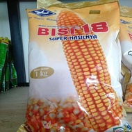 benih jagung bisi 18