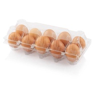 10 hole Egg tray 100 Pcs , clear egg tray holder , chicken egg tray.